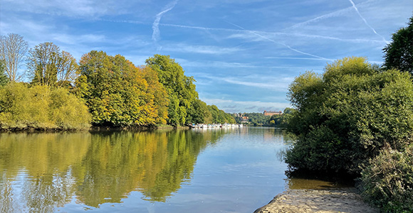serene river landscape with trees reflecting in water under blue sky autumn scene six elements of nature